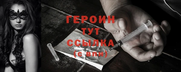 индика Горнозаводск