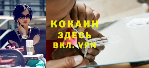 индика Горнозаводск
