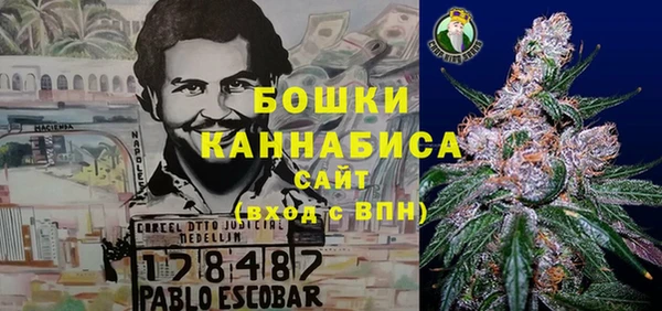 индика Горнозаводск