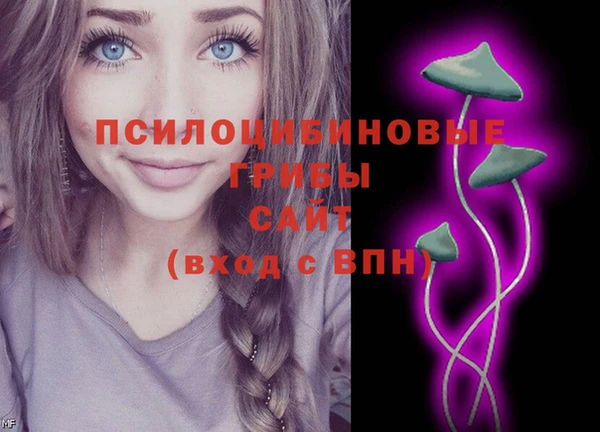 MDMA Premium VHQ Гусиноозёрск