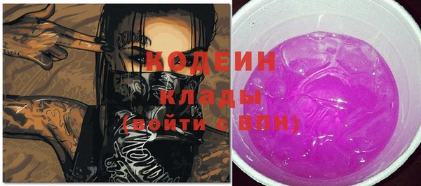 индика Горнозаводск