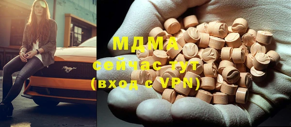 индика Горнозаводск
