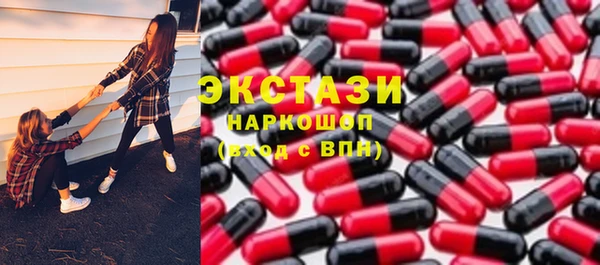 индика Горнозаводск