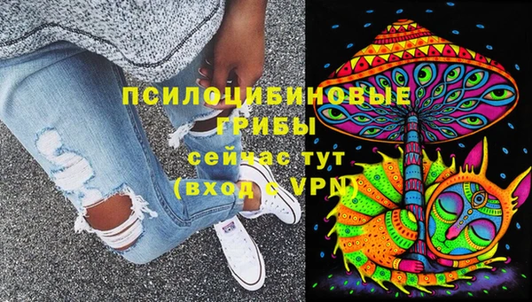 экстази Гусев