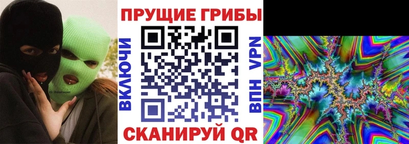 Псилоцибиновые грибы MAGIC MUSHROOMS  Купить  Скопин 